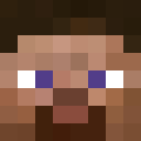 Player skin of Vlkodlak148