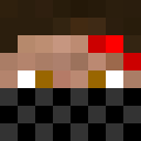 Player skin of joh4870