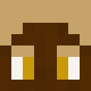 Player skin of CrazyCat0917