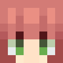 Player skin of Shampooboots