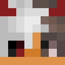 Player skin of MezoZX