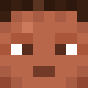 Player skin of NTesla010