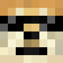Player skin of AlexGamer30004