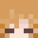 Player skin of Electronic_Flux