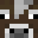 Player skin of toolbus
