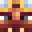 Player skin of SolidAnimal