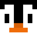 Player skin of 3rdParty
