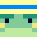 Player skin of Frognnes