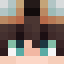 Player skin of Vertexityy
