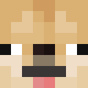Player skin of Raslide