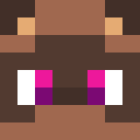 Player skin of Sky_Tanuki