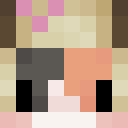 Player skin of Noahstev111