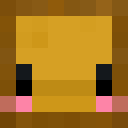 Player skin of RaizinToast
