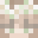 Player skin of cattitude101
