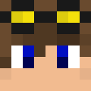 Player skin of Barrell