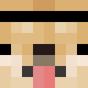 Player skin of BelexGamer