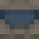 Player skin of BrV0l