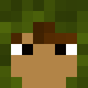 Player skin of BrokenEvoe
