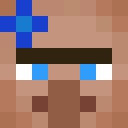 Player skin of Cheesekart