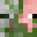 Player skin of Cjcarlos24