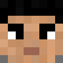 Player skin of FIREbirdaustin