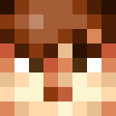 Player skin of PSnippe