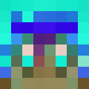 Player skin of RealDinhero21