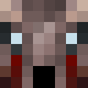 Player skin of TheBearistotle