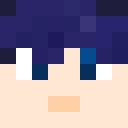 Player skin of WolfDM