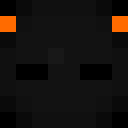 Player skin of FuzzyPanda863