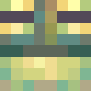 Player skin of SENIORPHROG