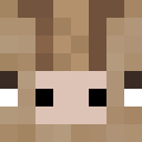 Player skin of Aardw4rk
