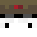 Player skin of Trashinternet