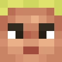 Player skin of skywarssmurf