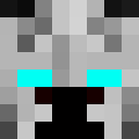 Player skin of Monte_55
