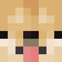 Player skin of allsides