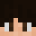 Player skin of peyleontologist