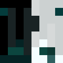 Player skin of daf1rs