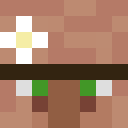 Player skin of akuur