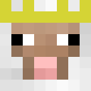 Player skin of gaypig