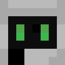 Player skin of maxdn0402