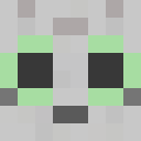 Player skin of mkwcat