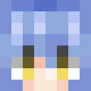 Player skin of netoge