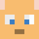 Player skin of stephdeg